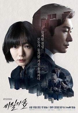 비밀의 숲1 제16회 다시보기
                                            (2017)